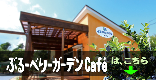 ぶるーベリーガーデン・カフェのページへ